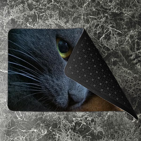 پادری حیوانات مدل نگاه زیبای گربه