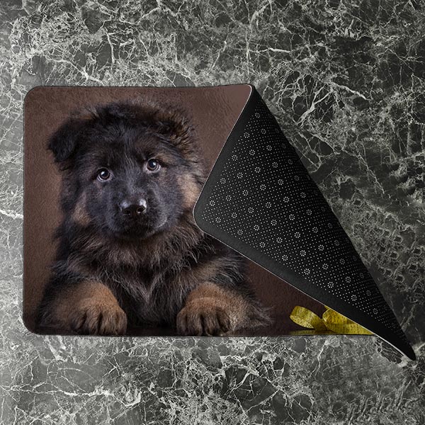 پادری حیوانات مدل نگاه زیبای یک سگ