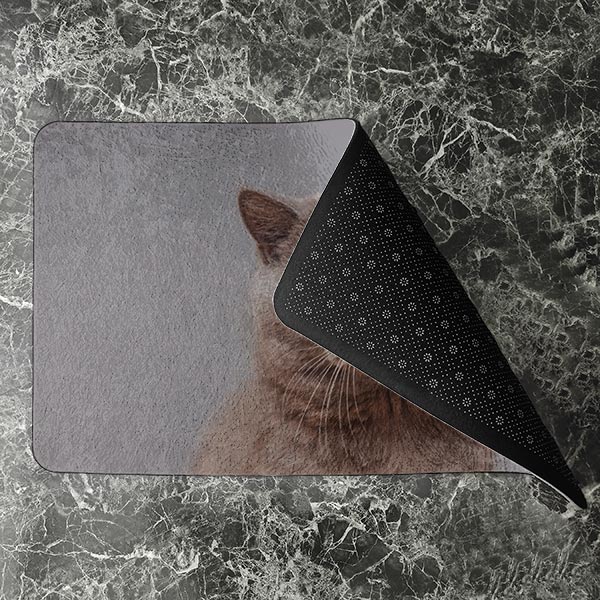 پادری حیوانات مدل گربه متعجب