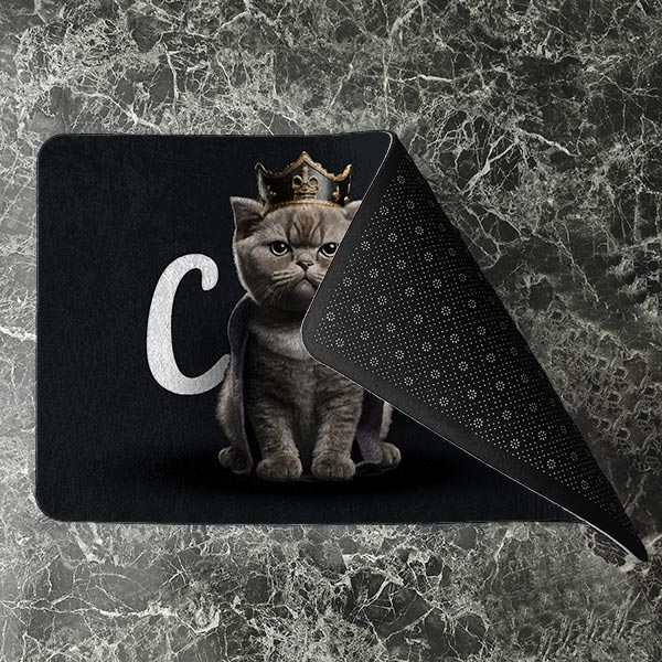 پادری حیوانات مدل گربه پادشاه 1