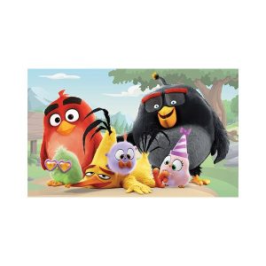 پادری کودک مدل پرندگان خشمگین و جوجه ها