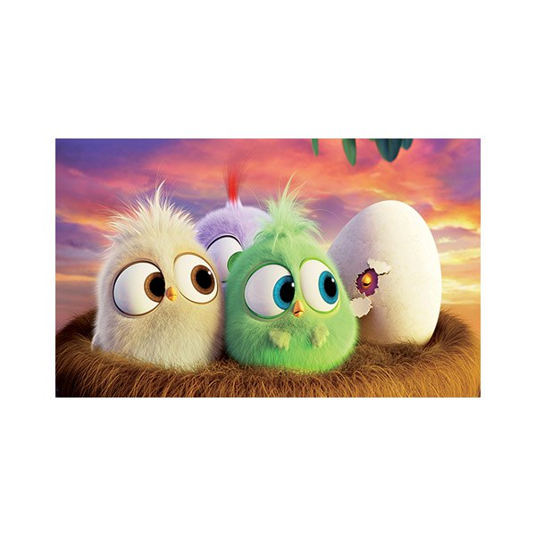 پادری کودک مدل جوجه های مهربون