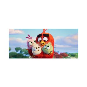 پادری کودک مدل پرندگان غیر خشمگینMK0128