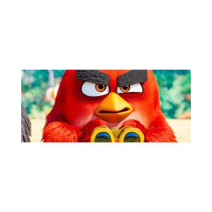 پادری کودک مدل دوربین و پرندگان خشمگینMK0131