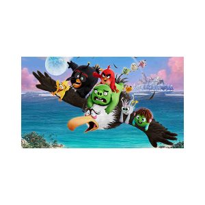 پادری کودک مدل عملیات پرندگاه خشمگین