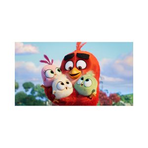 پادری کودک مدل پرندگان غیر خشمگین