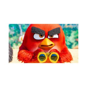 پادری کودک مدل دوربین و پرندگان خشمگین