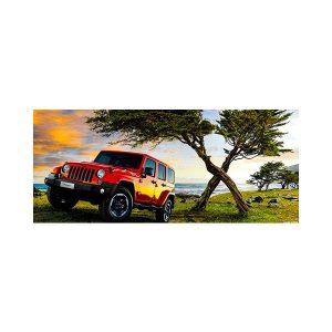 پادری نوجوان مدل آفرود در دشتMT0166