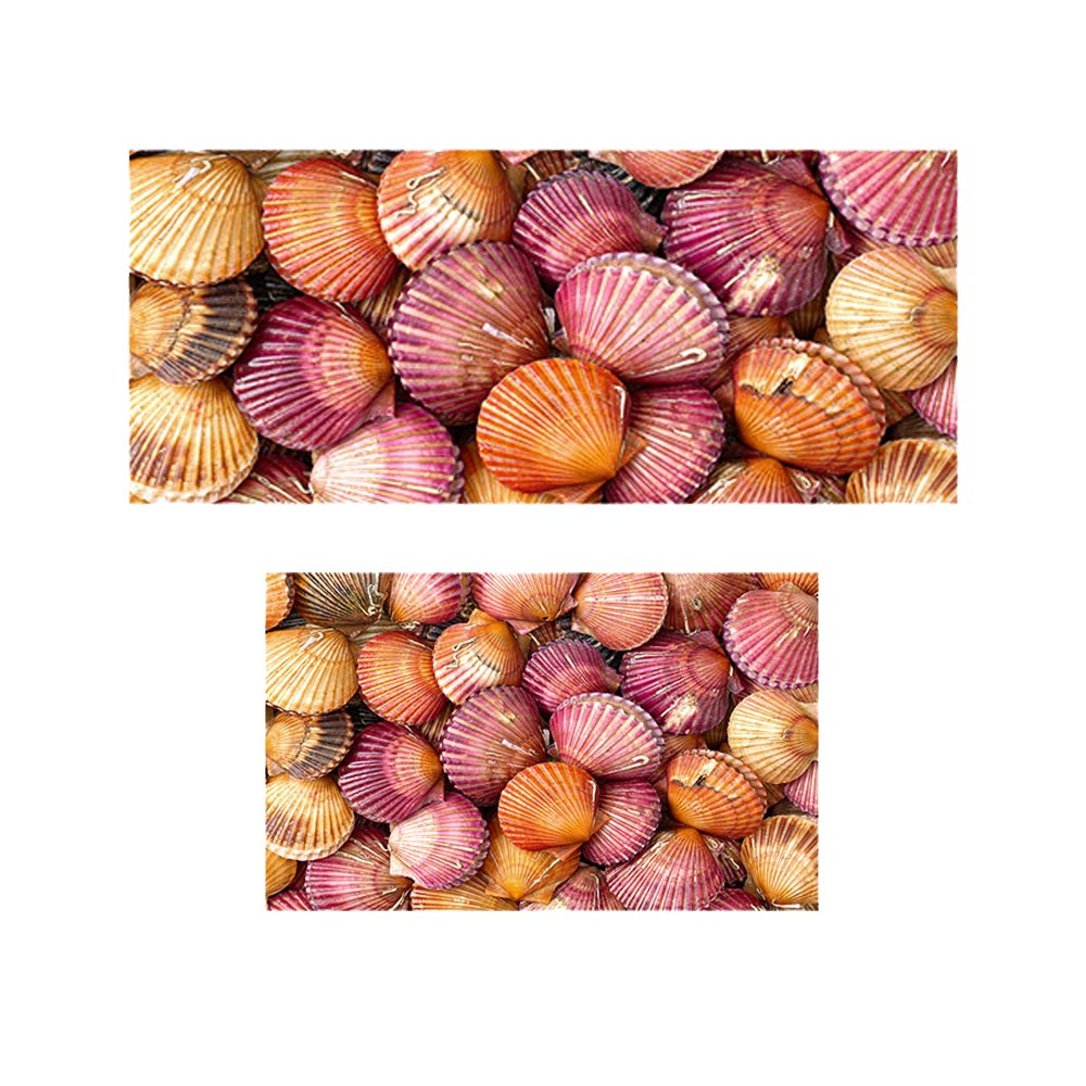 پادری مدرن و کلاسیک مدل صدف