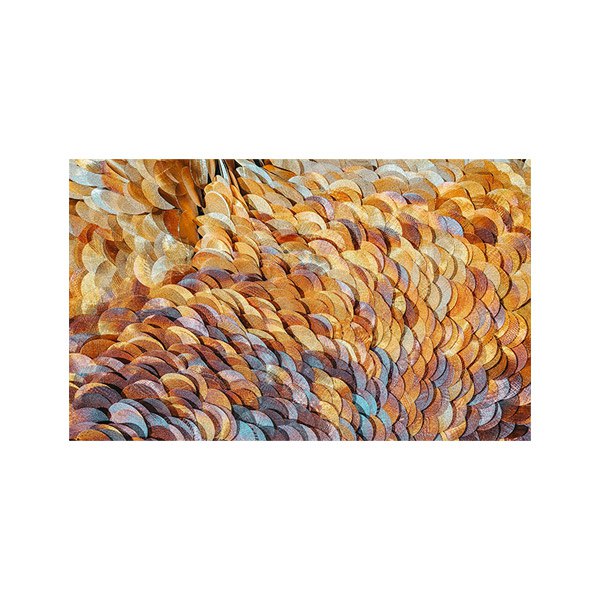 پادری مدرن و کلاسیک مدل پولک های زیبای طلایی