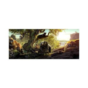 پادری کودک مدل کتاب جنگلMK0101