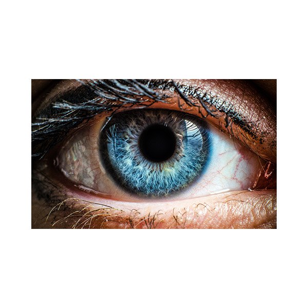 پادری نوجوان مدل چشم آبی