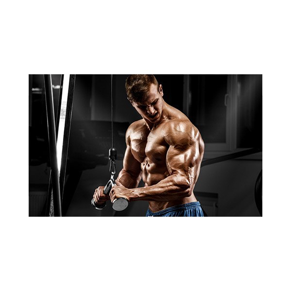 پادری نوجوان مدل بازوان فولادی