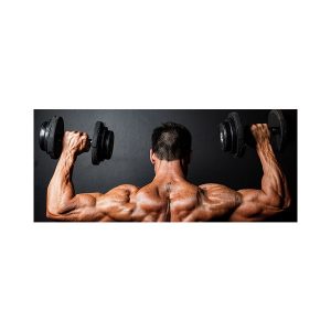 پادری نوجوان مدل قدرت بدنسازMT0067