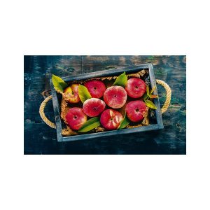 پادری آشپزخانه مدل ظرف هلو انجیری