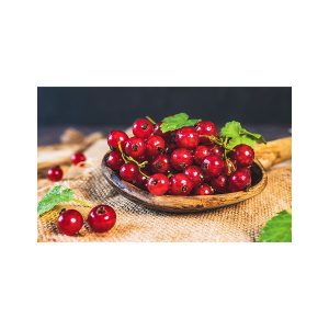 پادری آشپزخانه مدل ظرف آلبالوهای جذاب