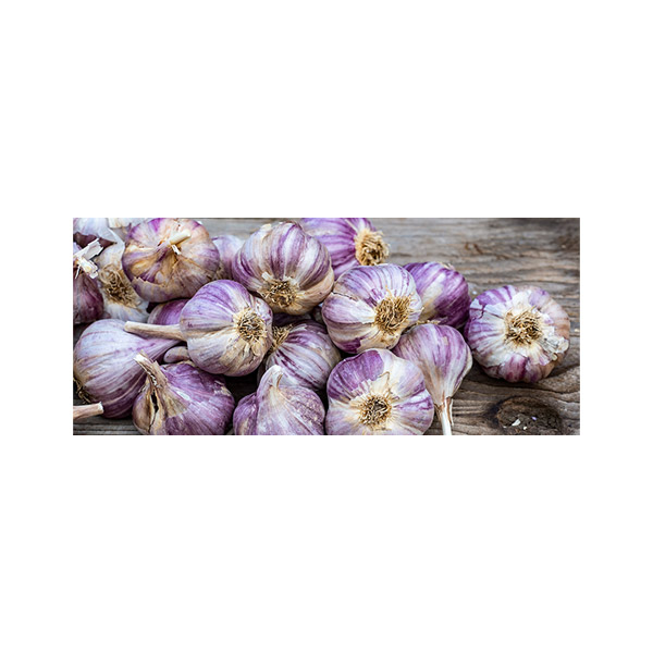 پادری آشپزخانه مدل سیرها MH0285