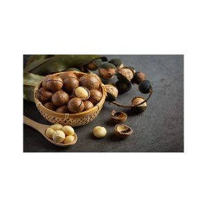 پادری آشپزخانه مدل ظرف فندق