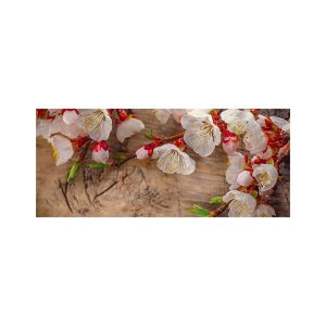 پادری طرح گل مدل شکوفه گیلاس MF0026
