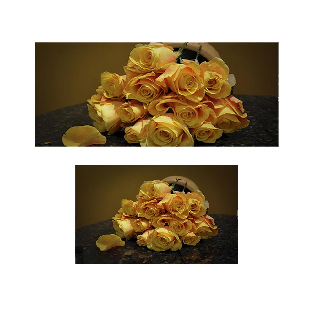 پادری طرح گل مدل رزهای زرد MF0084