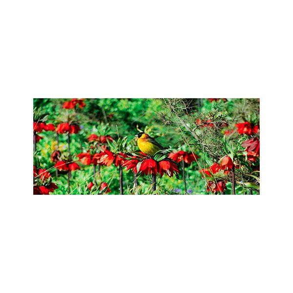 پادری طرح گل مدل دشت لاله واژگون MF0135