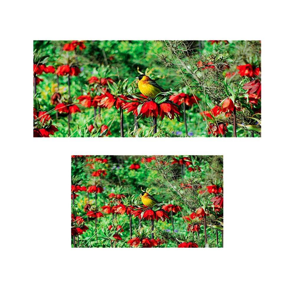 پادری طرح گل مدل دشت لاله واژگون MF0135