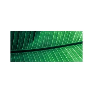 پادری طرح گل مدل یک برگ سبز MF0147