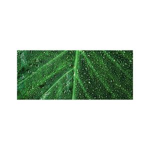 پادری طرح گل مدل یک برگ سبز خیس MF0148