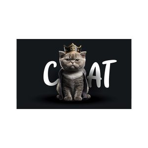 پادری حیوانات مدل گربه پادشاه 1