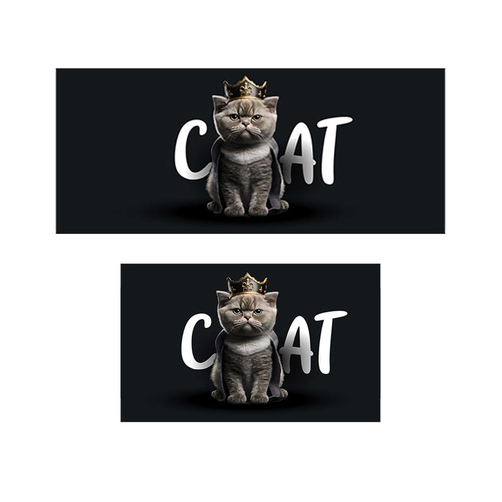 پادری حیوانات مدل گربه پادشاه 1