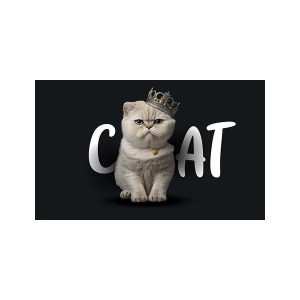 پادری حیوانات مدل گربه پادشاه 2