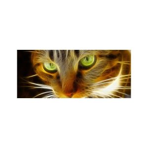 پادری حیوانات مدل نگاه گربه آتشینMA0004