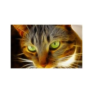 پادری حیوانات مدل نگاه گربه آتشین