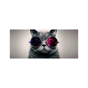 پادری حیوانات مدل گربه عینک پوشMA0005