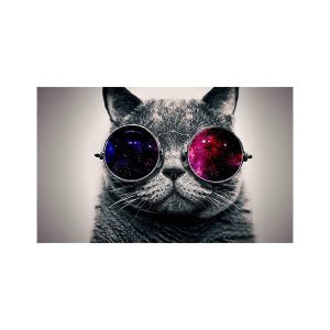 پادری حیوانات مدل گربه عینک پوش