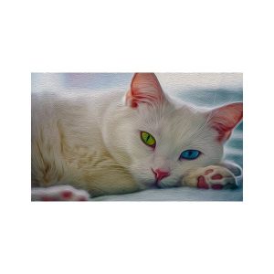 پادری حیوانات مدل طرح رنگ روغنی گربه