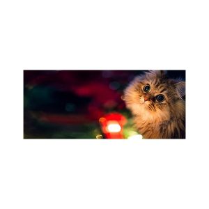 پادری حیوانات مدل گربه نگاه شمعMA0018