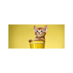 پادری حیوانات مدل گربه با نمک در سطل MA0019