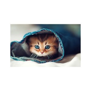 پادری حیوانات مدل گربه با نمک بازیگوش پادری حیوانات مدل گربه با نمک بازیگوش