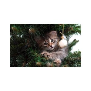 پادری حیوانات مدل گربه و درخت کریسمس