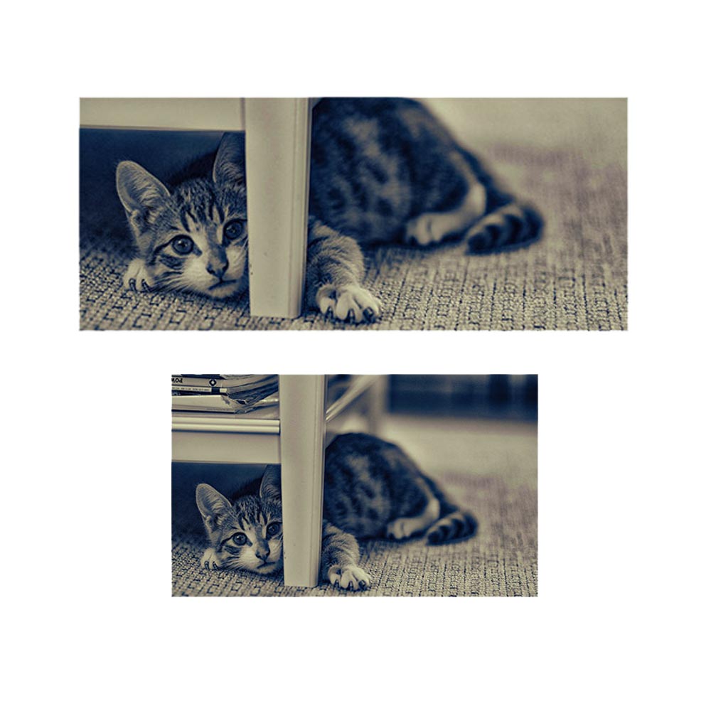 پادری حیوانات مدل گربه زیر میز