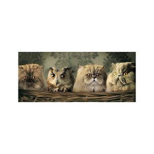 پادری حیوانات مدل گربه ها و جغدMA0028