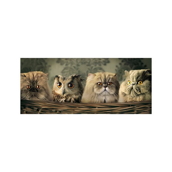 پادری حیوانات مدل گربه ها و جغد