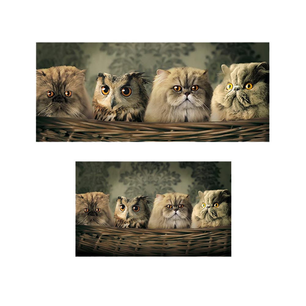 پادری حیوانات مدل گربه ها و جغد