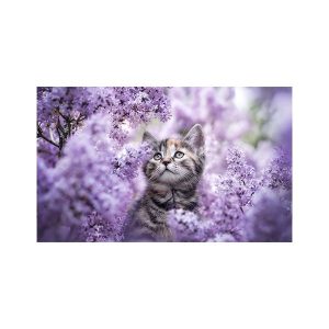 پادری حیوانات مدل گربه در میان یاس ها