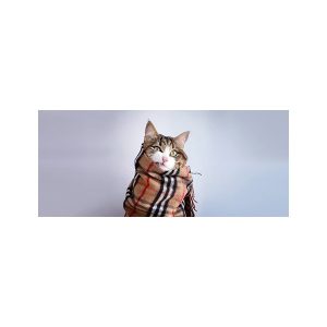 پادری حیوانات مدل گربه پتو پیچ MA0034