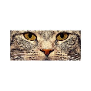 پادری حیوانات مدل گربه چهره نزدیک MA0038