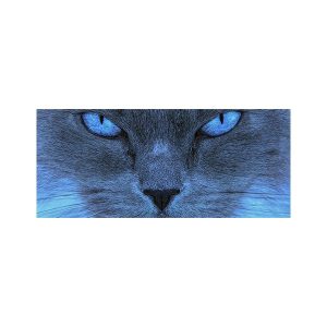 پادری حیوانات مدل تمام رخ آبی گربه MA0042