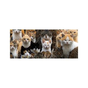 پادری حیوانات مدل گروه گربه هاMA0043