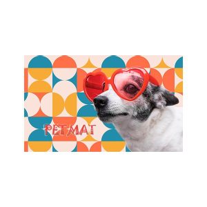 پادری حیوانات مدل سگ با عینک قلبی